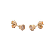 Gold Ladies Earrings (GE-5)