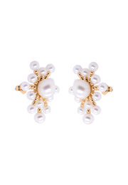 Diamond Earrings (DE-2099)