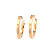 Gold Ladies Earrings (GE-14404)