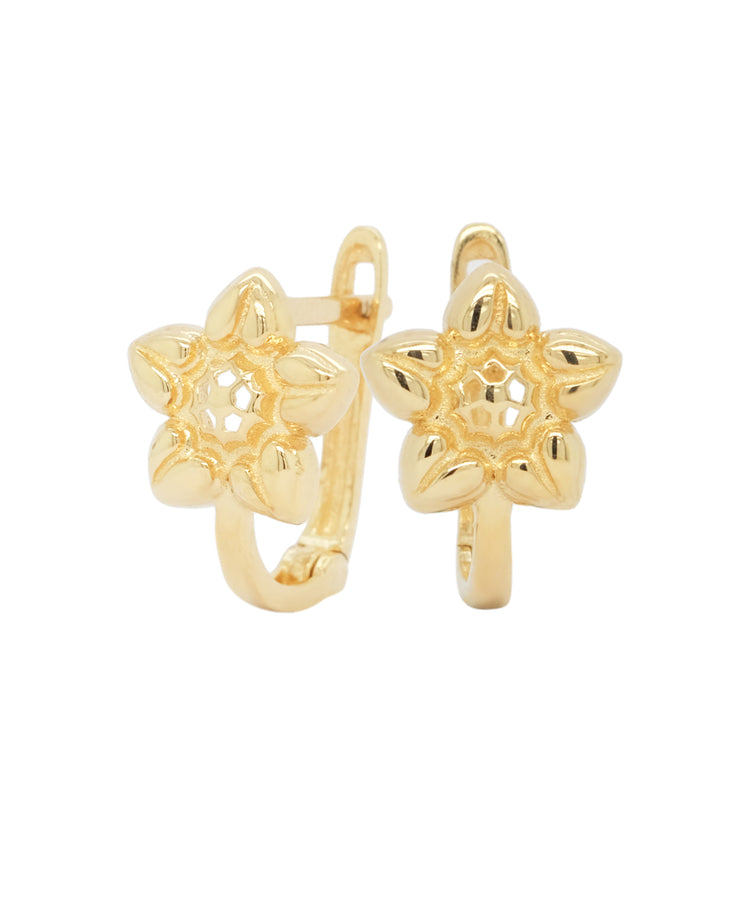 Gold Ladies Earrings (GE-14701)