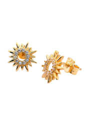 Gold Ladies Earrings (GE-16072)